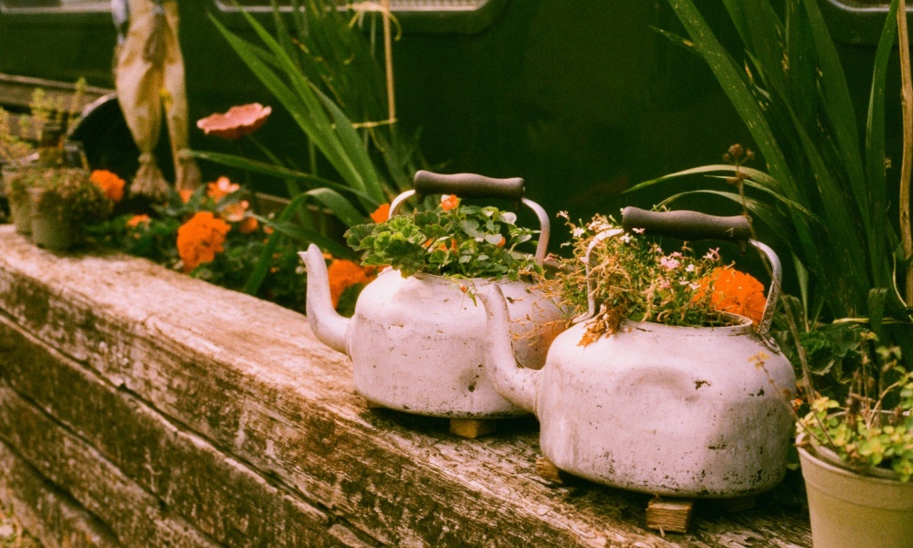 Flourish 1000 x 600.jpg